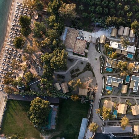 Ergon Beach House Nikiti Exterior photo